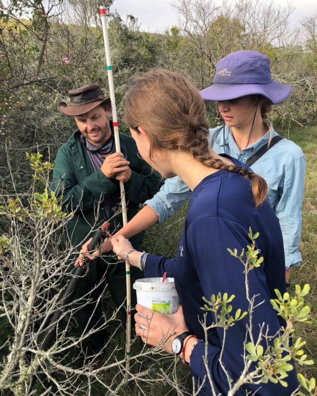 Hands-on involvement….🙌

Getting a glimpse into the behind-the-scenes activities of a game reserve highlight the range of research and conservation projects needed for a protected area to thrive. 

Here a group gets involved at our Eastern Cape Camp in vegetation surveys and helping to eradicate invasive plant species. 🌿
.
.

#wildlifeconservation #protectedareas #research #handsonconservation #conservationvolunteer #wildlifeconservation #EasternCapeCamp #KariegaFoundation #africanadventures #gapyear #schoolgroups #youth4conservation @kariega.game.reserve