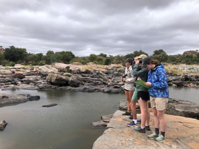 Croc survey 🐊

Our latest group of Botswana volunteers undertook a croc survey on the Limpopo River. Keeping track of numbers helps us understand the state of the river — as crocodiles are indicators of river health. 

Participation in ongoing research efforts is an important contribution to the conservation efforts of our partners on the ground. 🙌

#crocodileresearch #wildlifesurveys #conservationvolunteer #africanadventures #youthgivingback #schooltrips #gapyeartravel #youth4conservation #BotswanaCamp